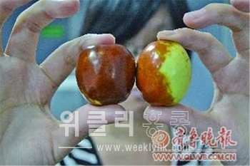▲ 사카린에 담가 단맛을 낸 대추(왼쪽)과 일반 대추(오른쪽). <사진 출처 : 齊魯晩報 >